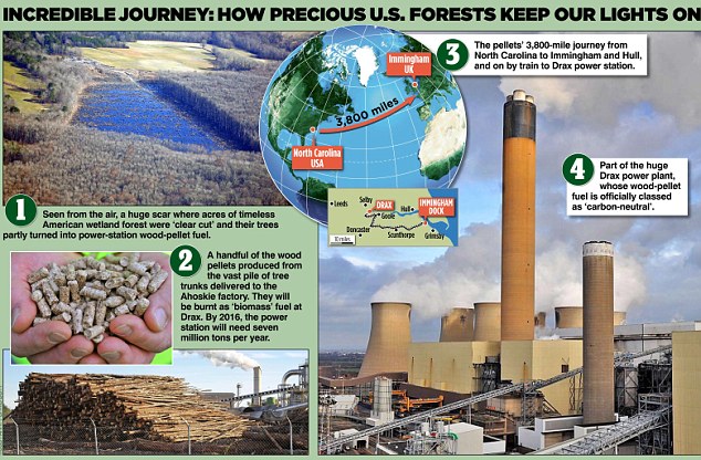 MoS2 Template Master