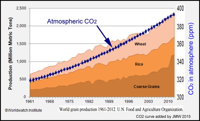 Curry_Christy_CO2_level_global_grain